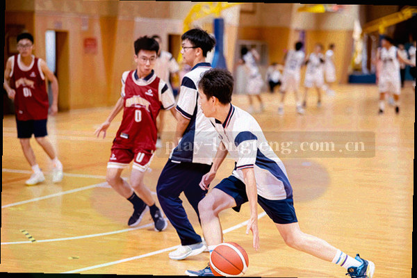 三道递进阶梯分别代表国内龙腾内容线的标准线、进阶线与尊享线服务层级